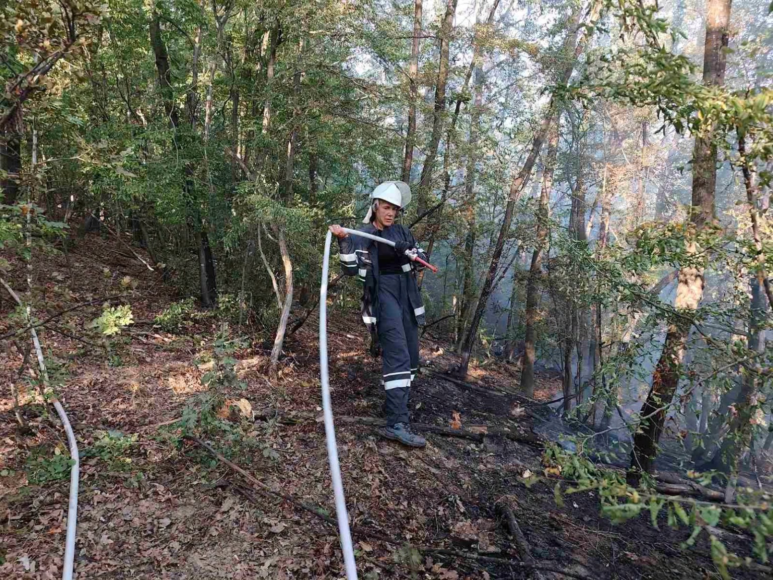 Пожар бушува в гориста местност между тревненските села Добревци и Керените