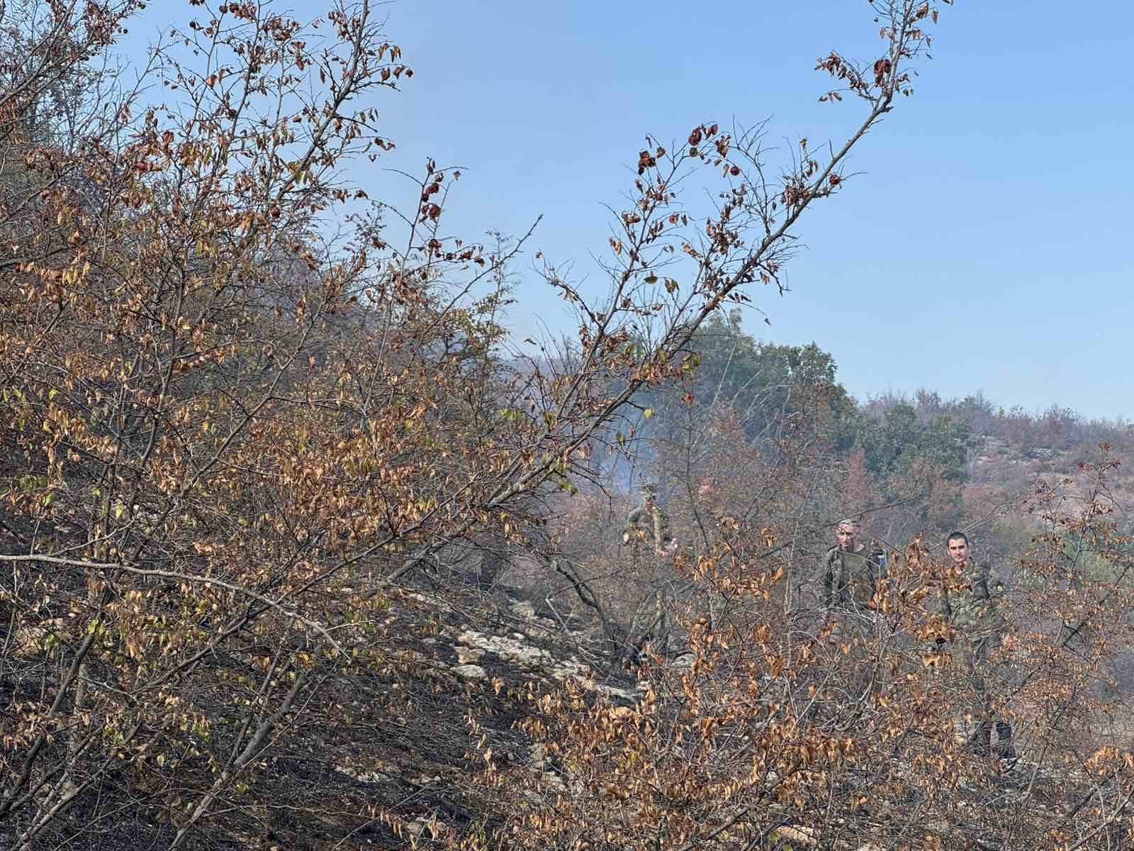 Пожарът край Беляковец е локализиран