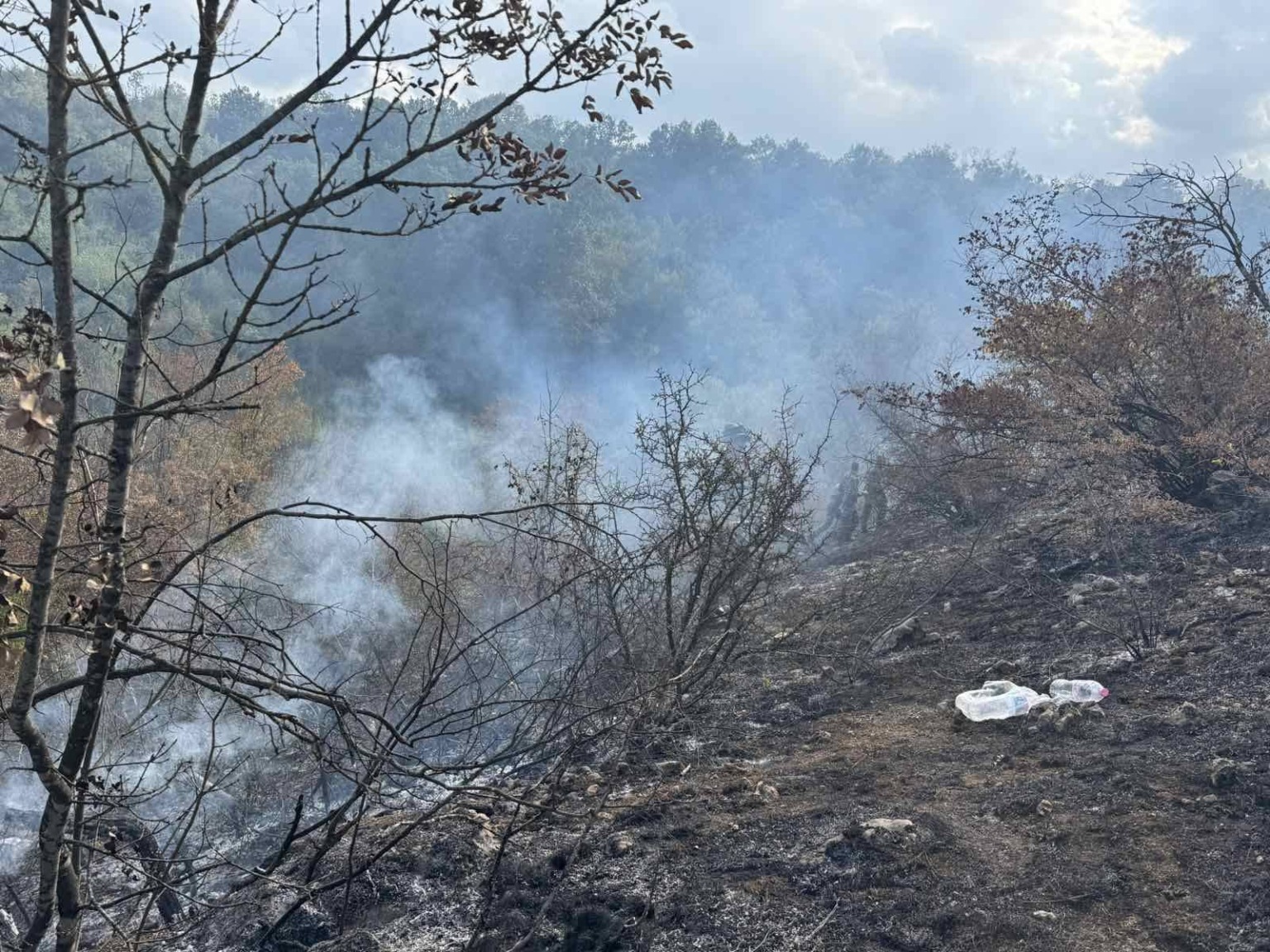 Пожарът край Беляковец е локализиран